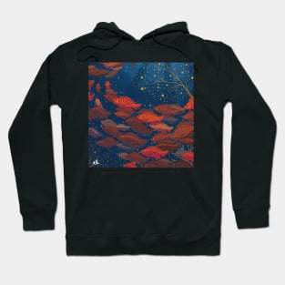 153 fishes Hoodie